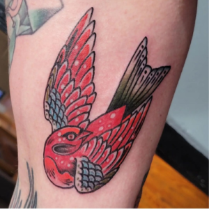 500x500 red bird